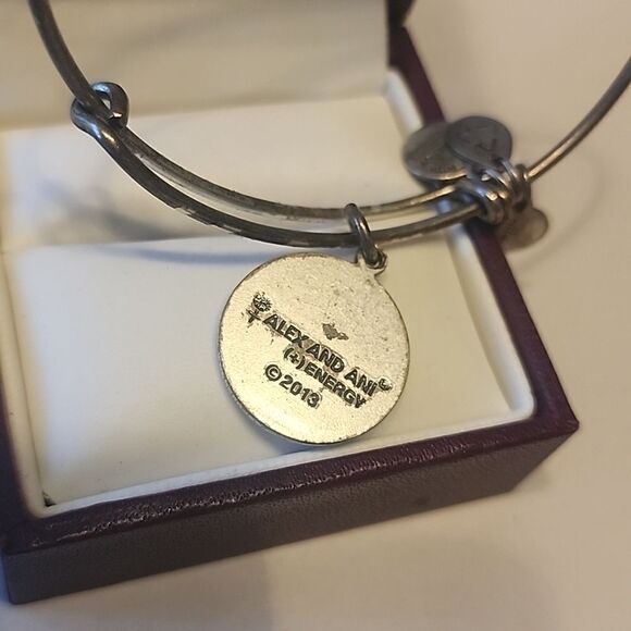 Alex and Ani (+) Energy Team USA Bracelet Team USA Skiing 2013 - Picture 4 of 5